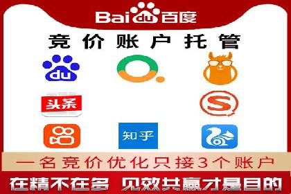 某行业sem竞价托管成功案例：精准投放的秘诀